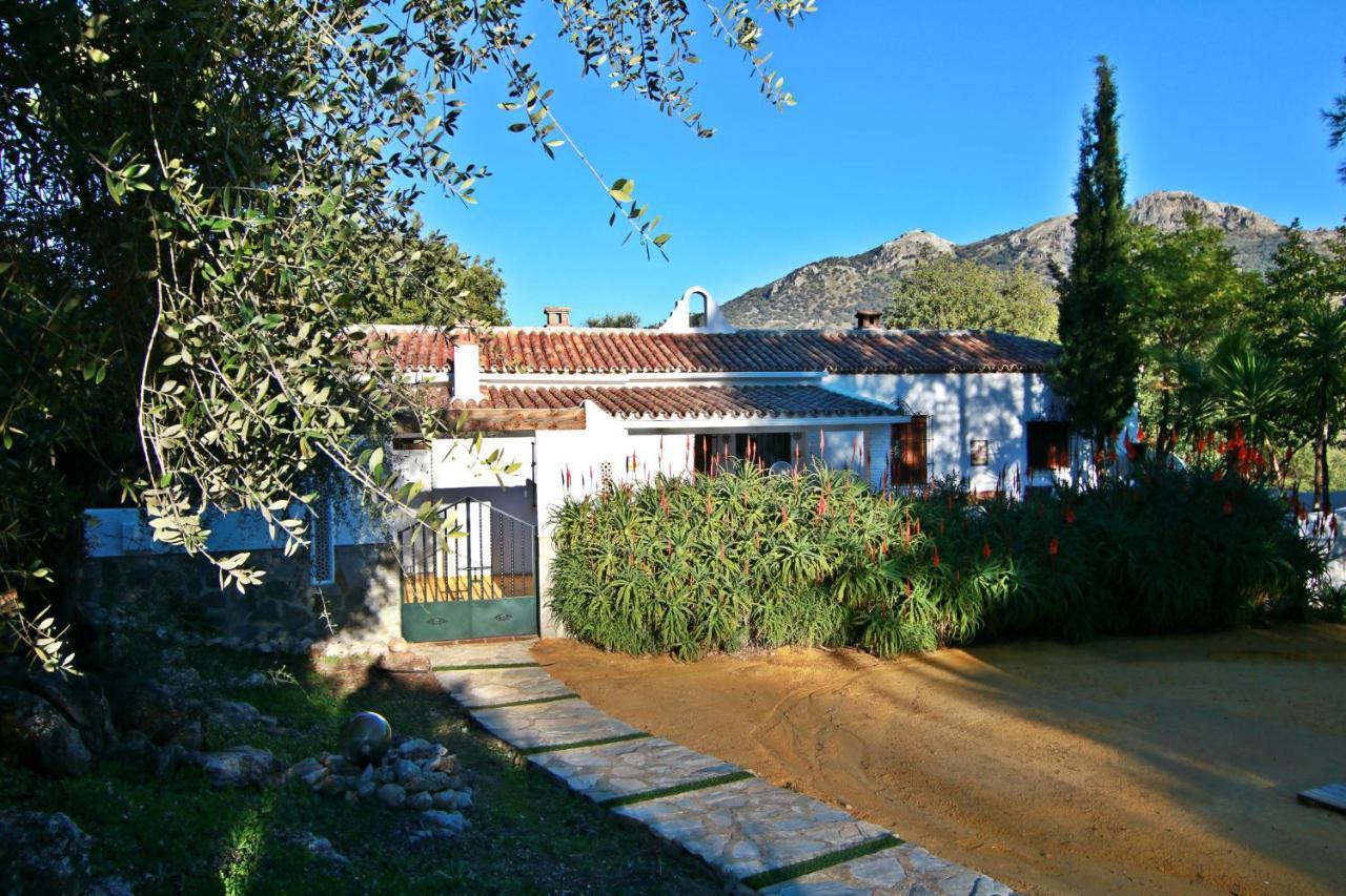 Casas Rurales Los Algarrobales El Gastor Zewnętrze zdjęcie